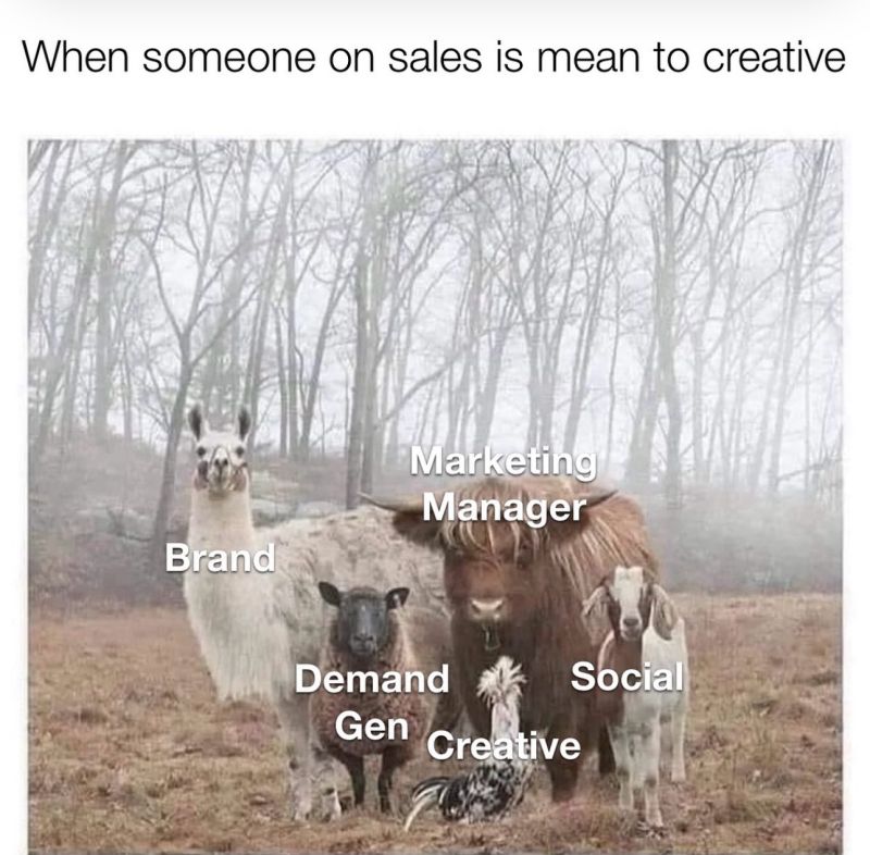 Sales vs Marketing and Brand