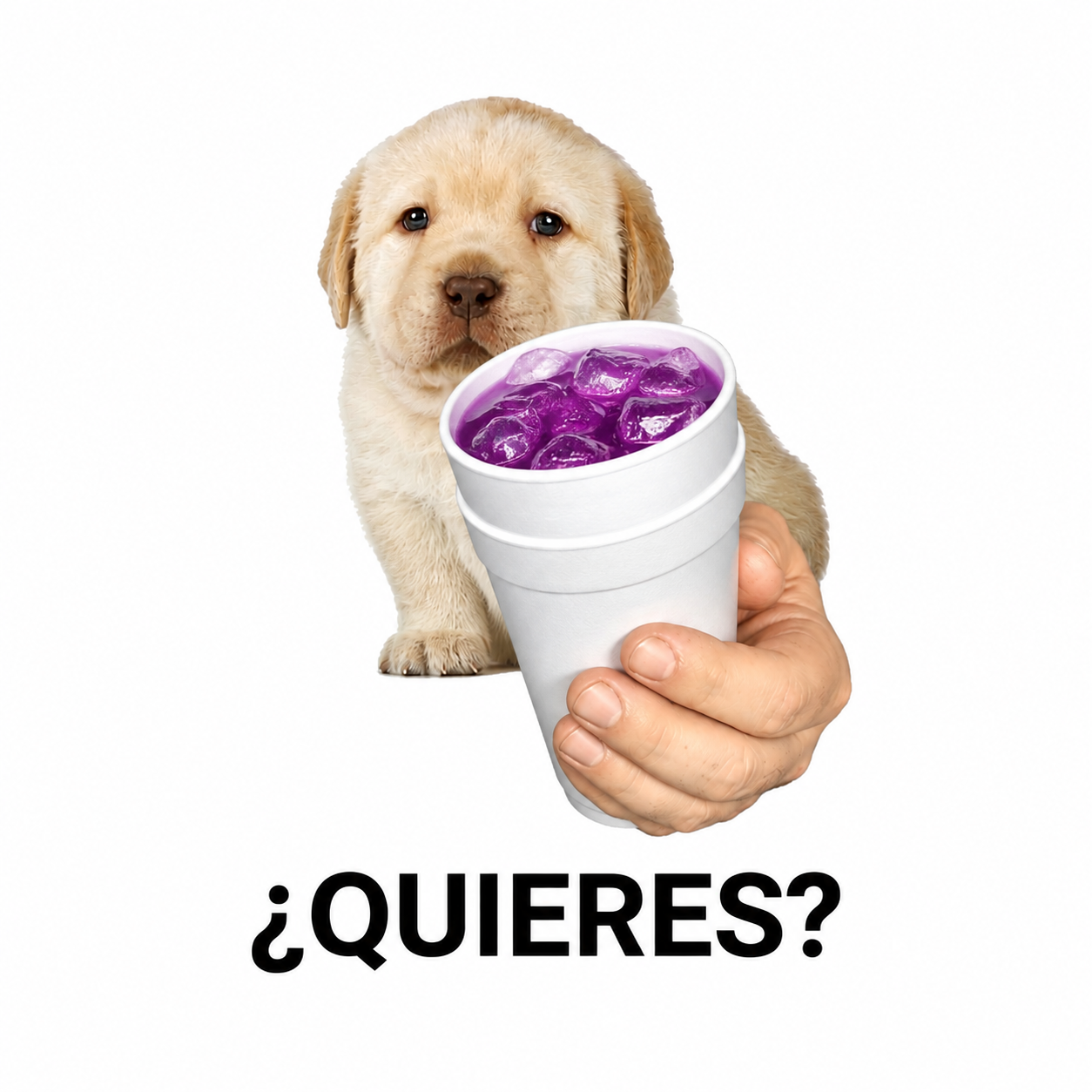 0C6EB19A-DC46-4224-9559-E97B5DC8FE3A.png