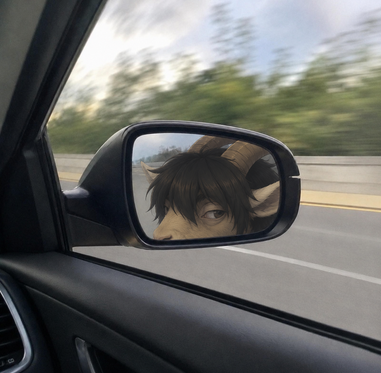 mirror.png
