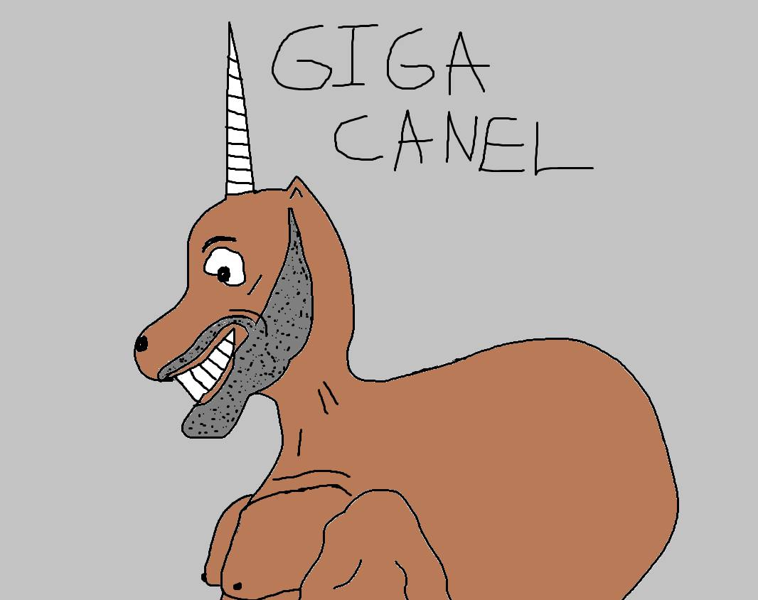 photo_2025-11-20 15.29.31.jpeg