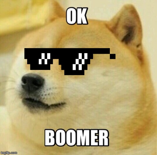 ok boomer doge sunglasses.jpg