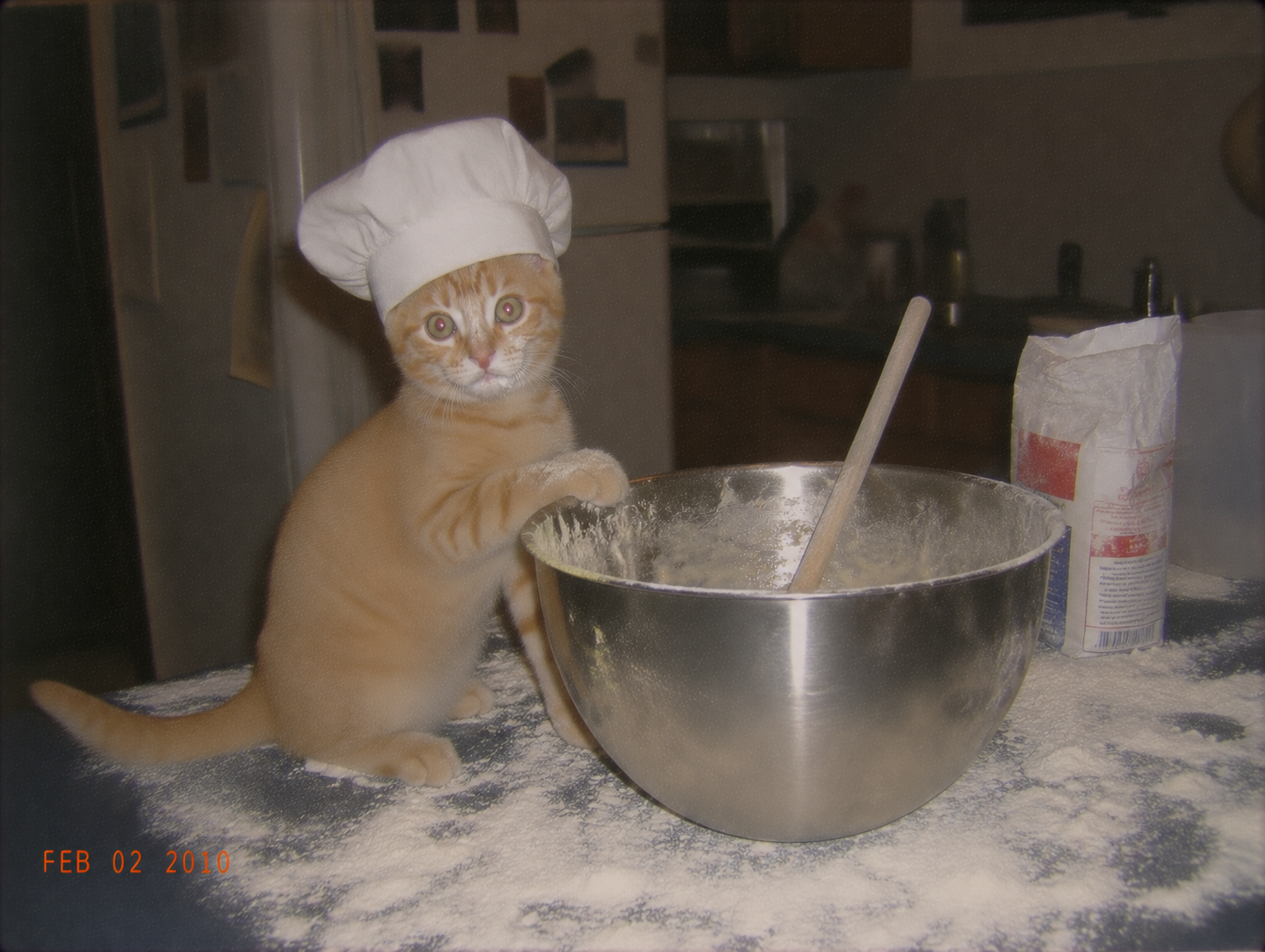 sirius-79-we-cooking.png