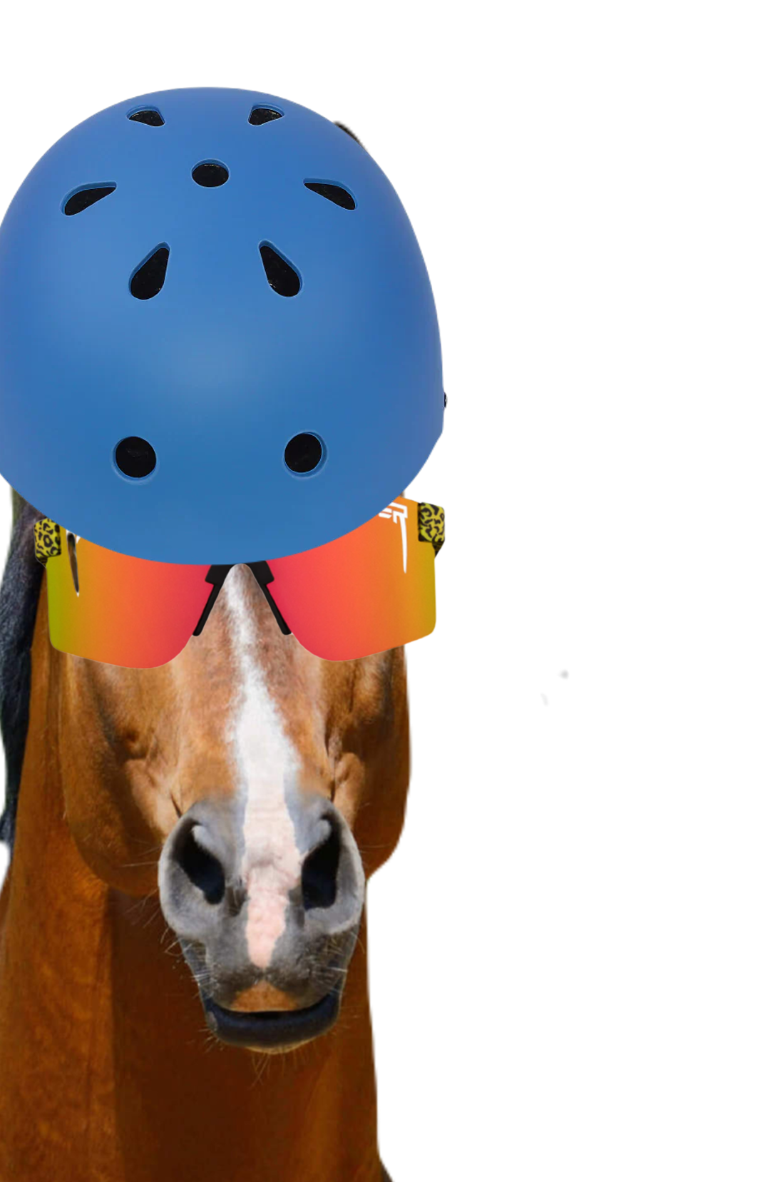Bike_helmet.png