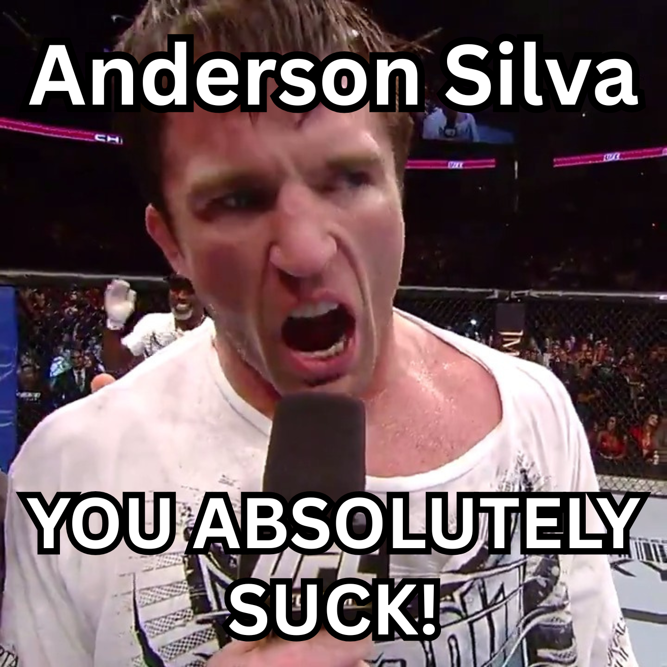 Anderson Silva.png