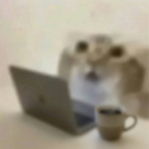 IMG_4227.jpeg