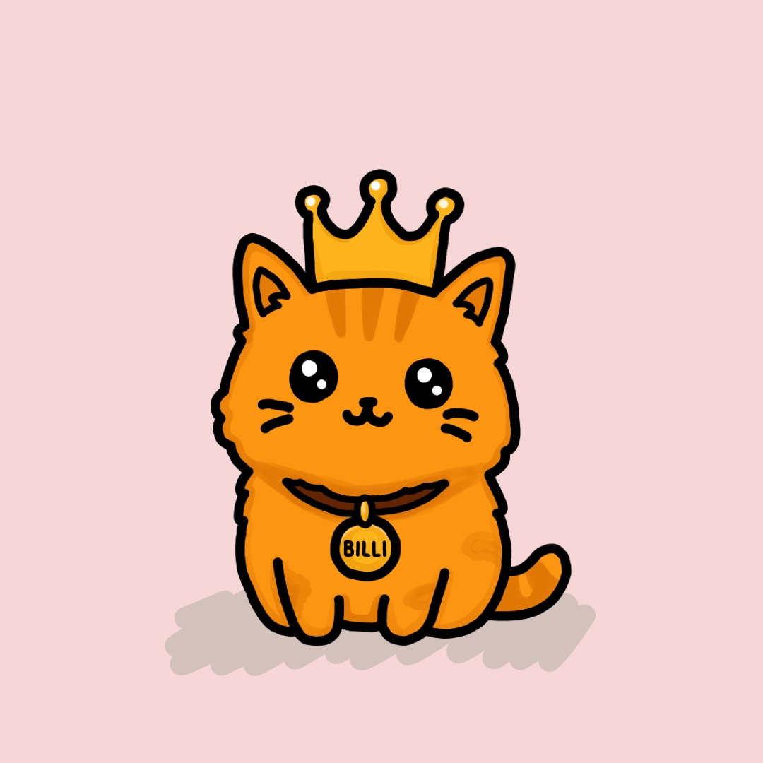 cat billi