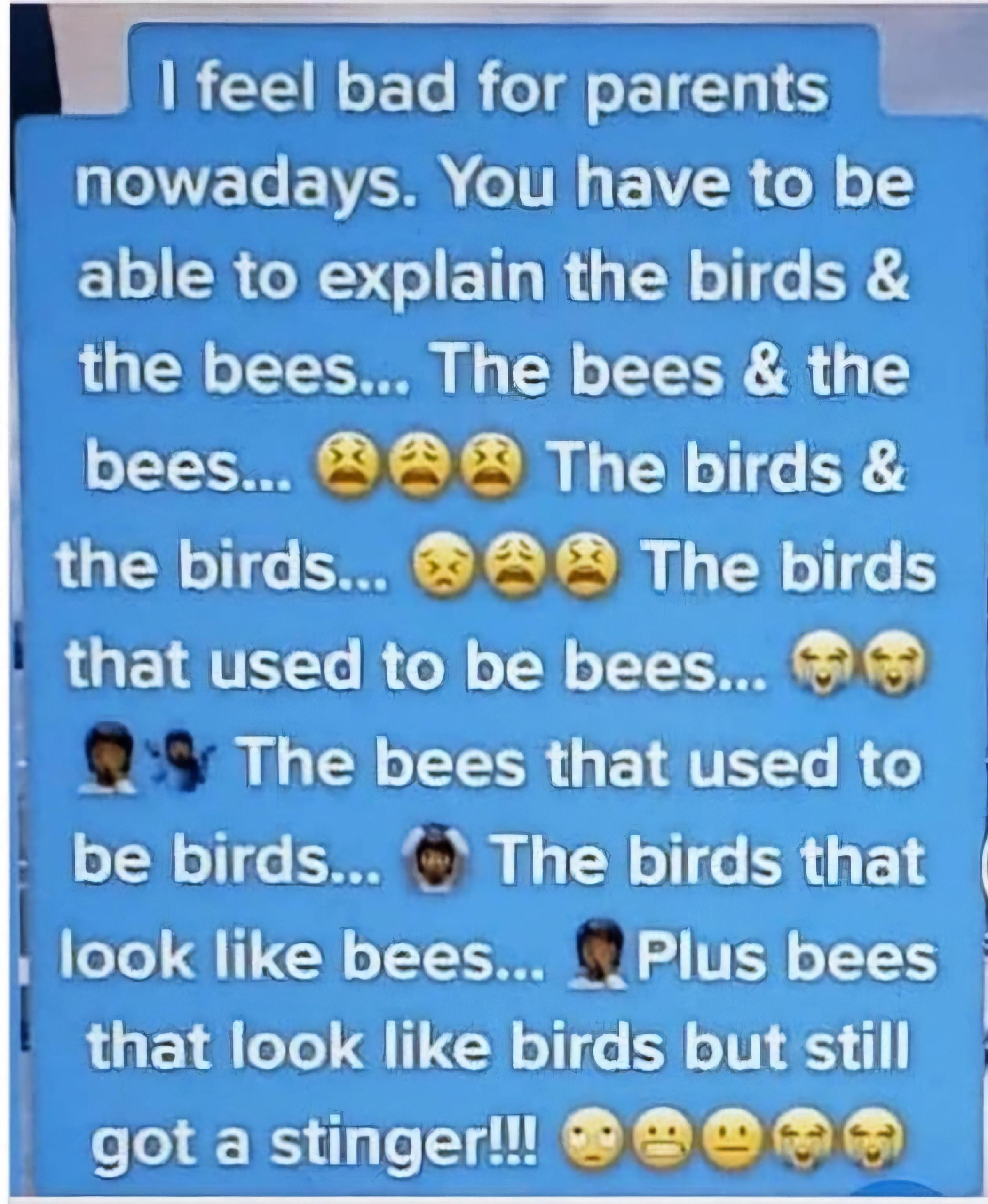 boomer's playground (1562).jpg