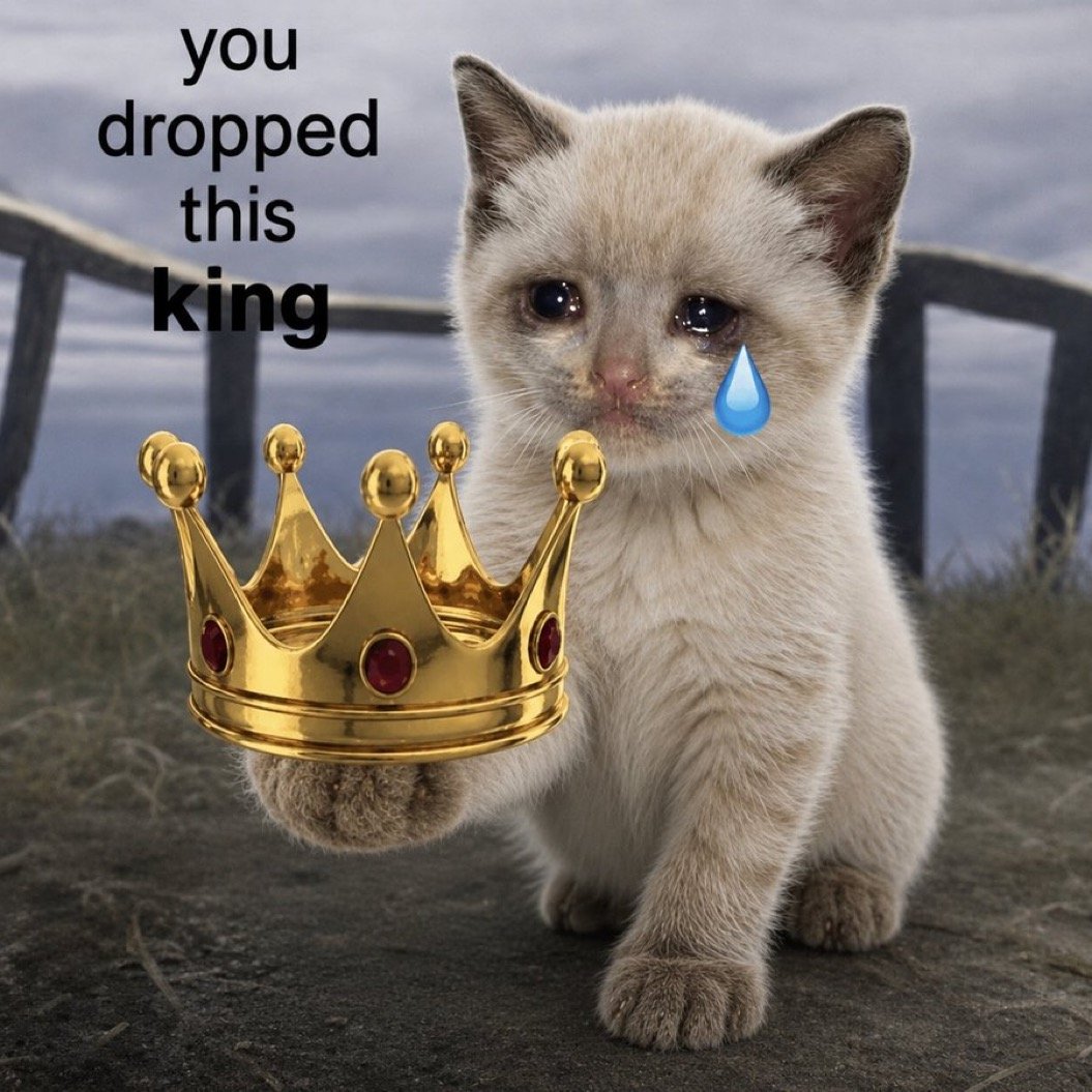 Dropped This King