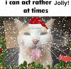 I act rather jolly at times.jpg