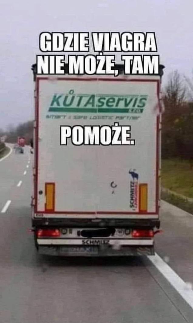 Best Polish Memes (1110).jpg