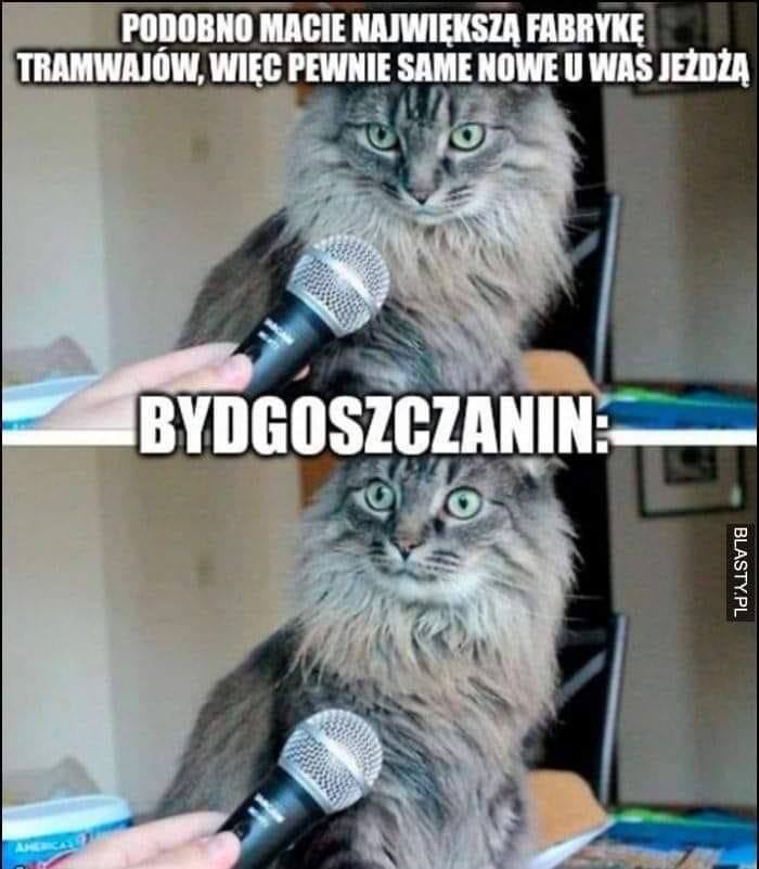 Best Polish Memes (1092).jpg
