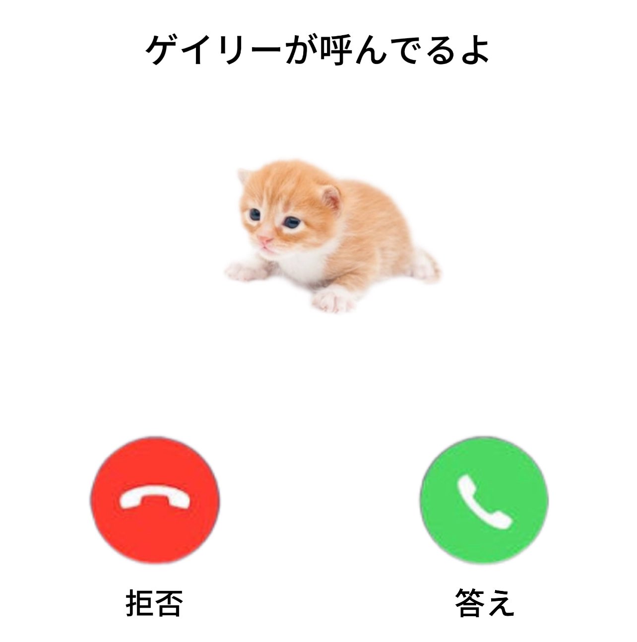 gary japan phonecall.jpg