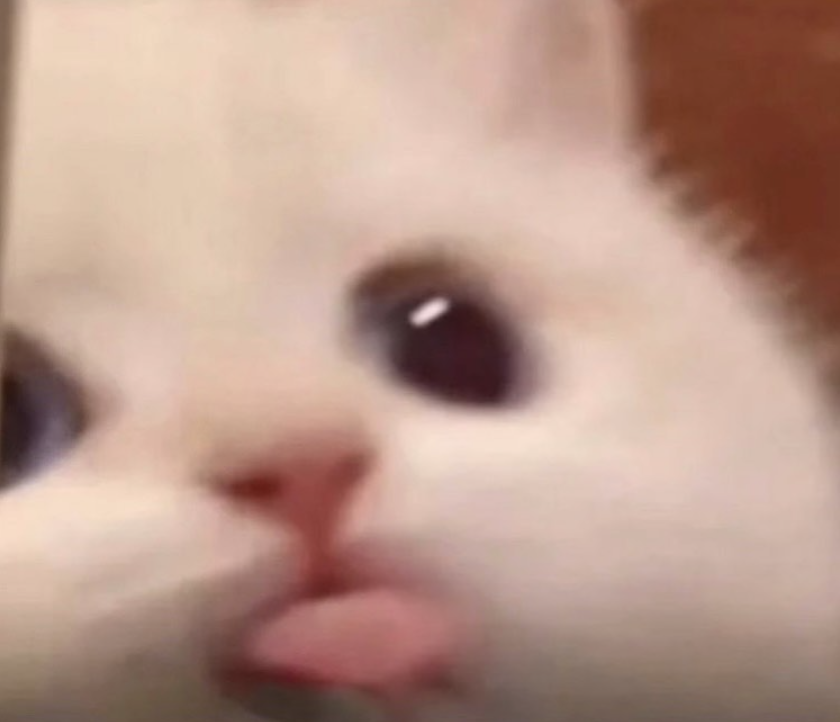 what more do u want from me https://t.co/qYDQxHgyPd