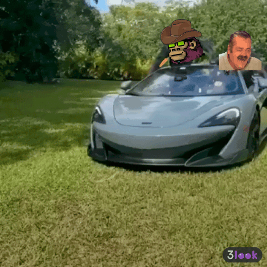 v-other-apes-car.gif
