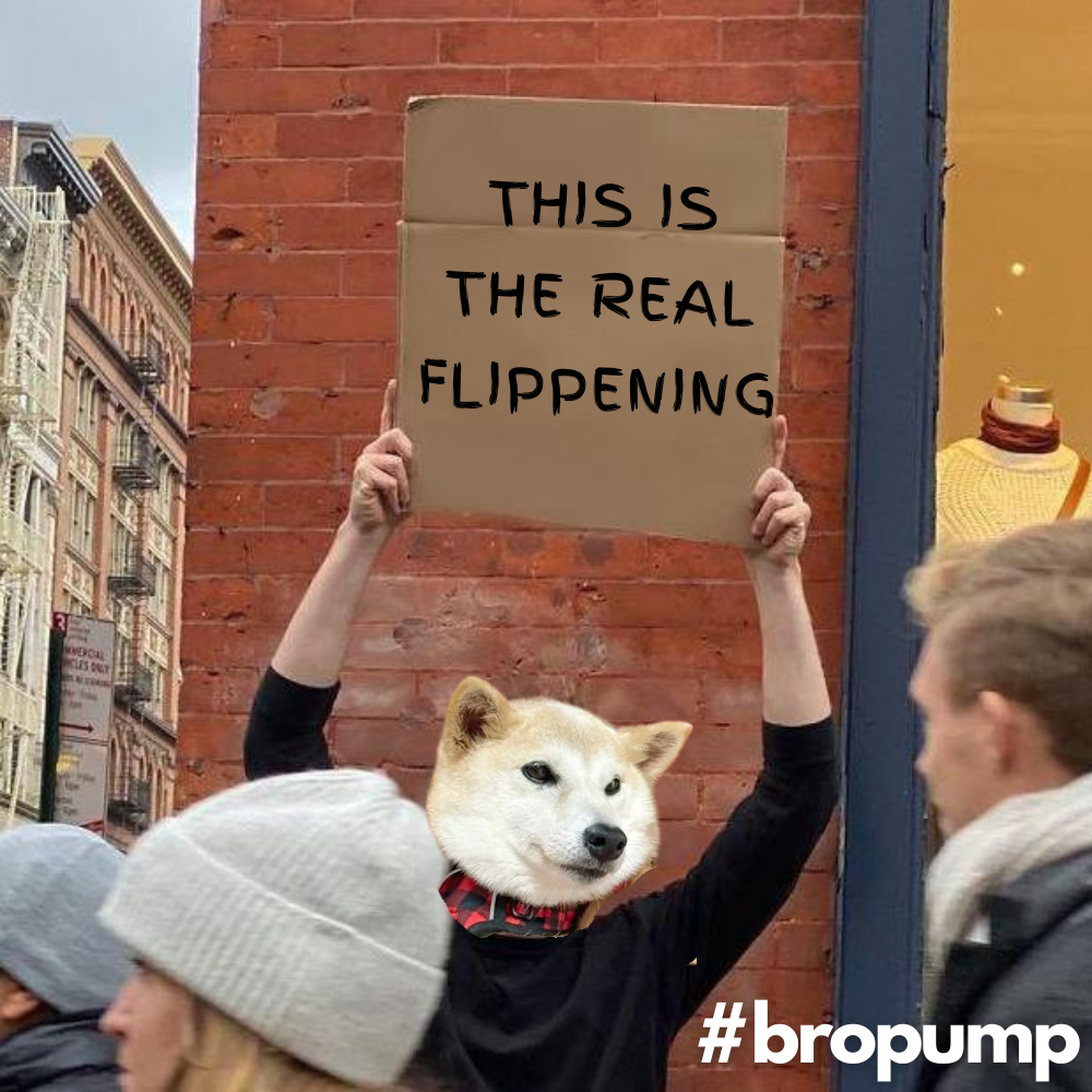 dude with sign bropump (9).png