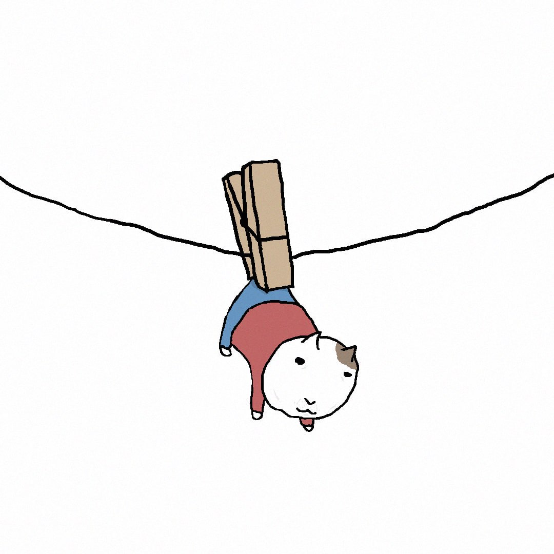 2026-04-11 03.35.42.jpg