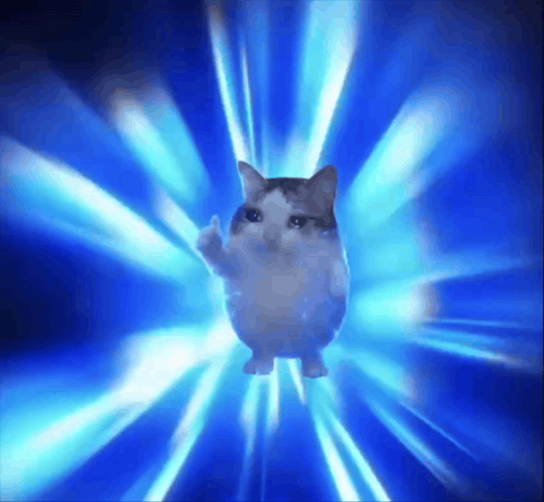 IMG_8341.gif
