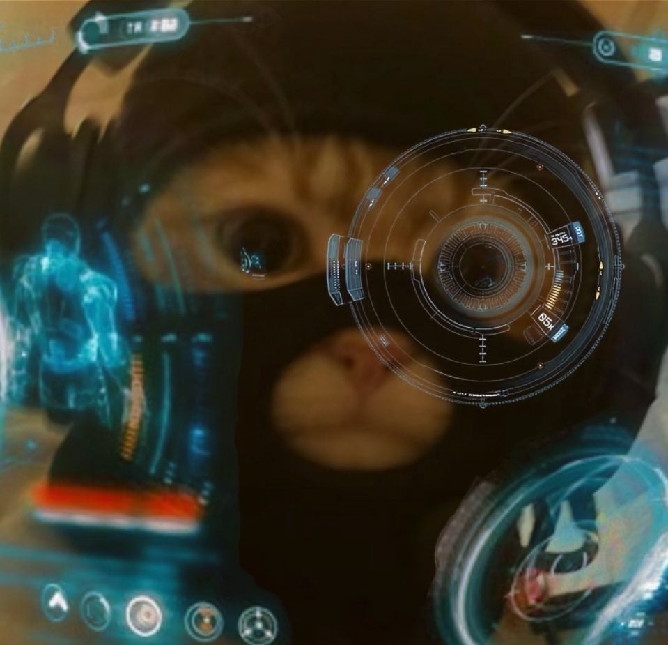 Jarvis catwifmask