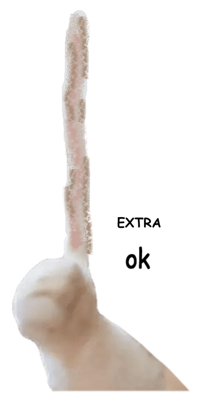 2E4498F5-057F-46F9-9C17-C7EF66EC18B8.png