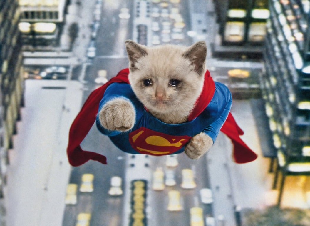 Superkitty