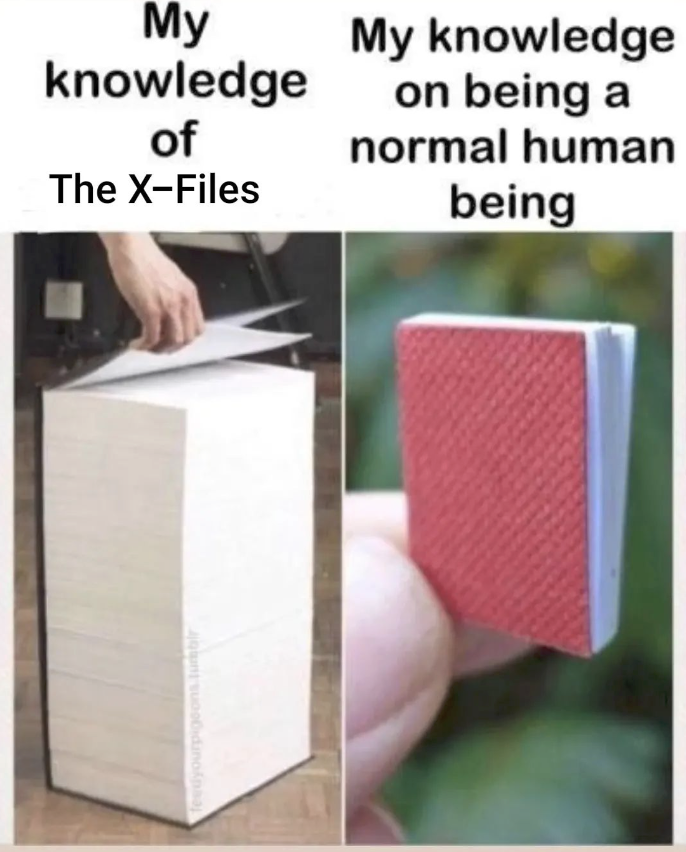 Screenshot 2024-06-06 at 4.34.55 PM.png