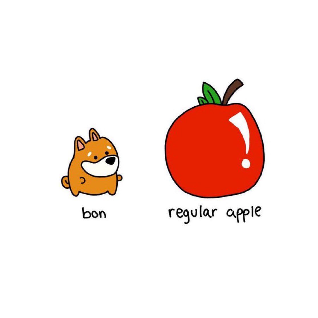 1000006920.jpg