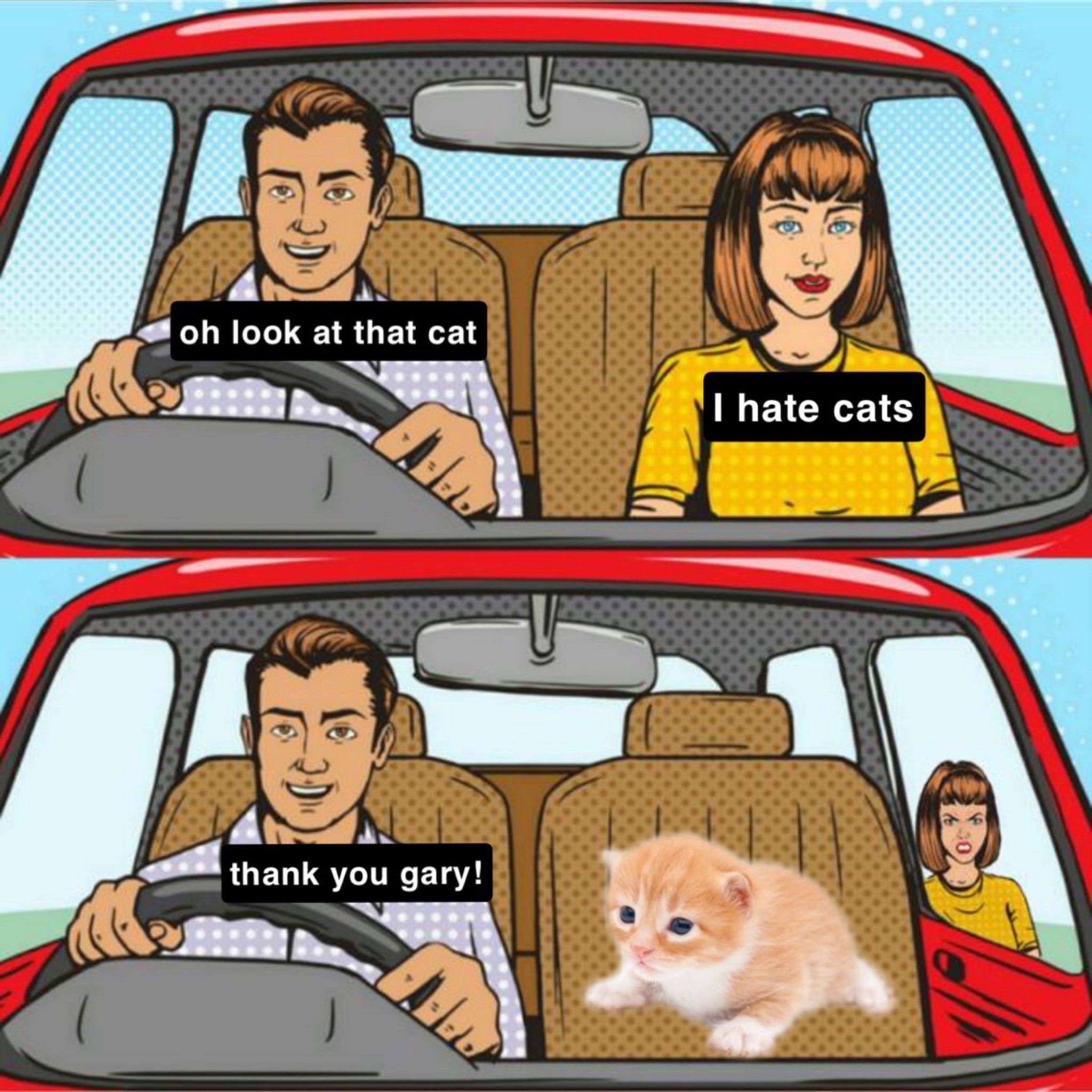 oh look at that cat.jpg