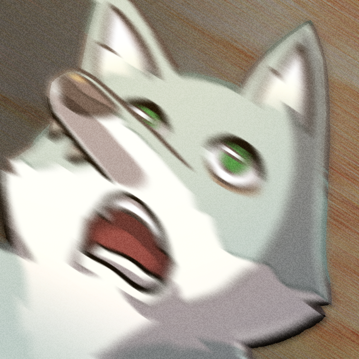 CAT_SPIN.png