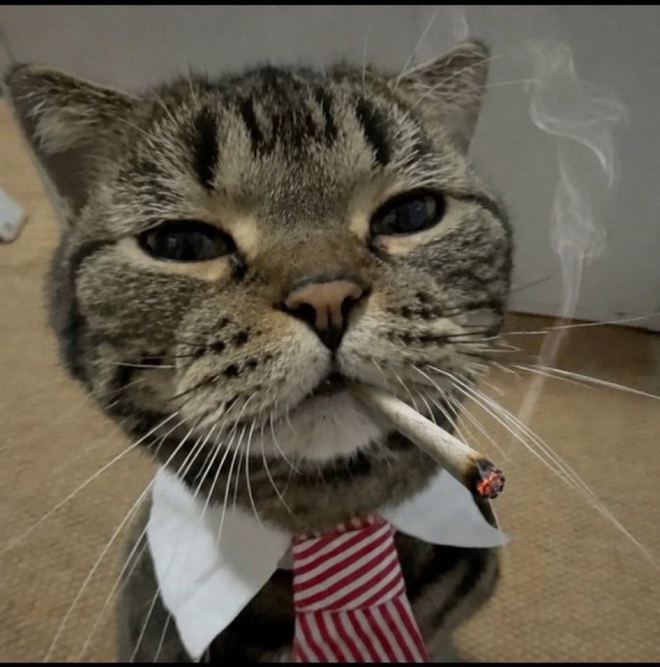 MarketCat