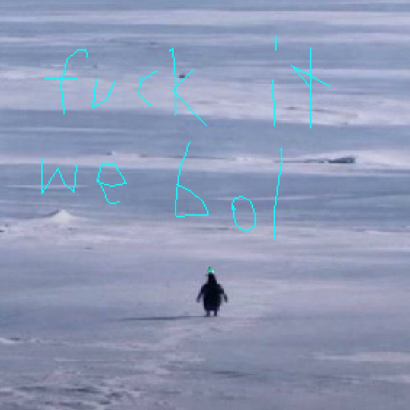 fuck it we bol penguin