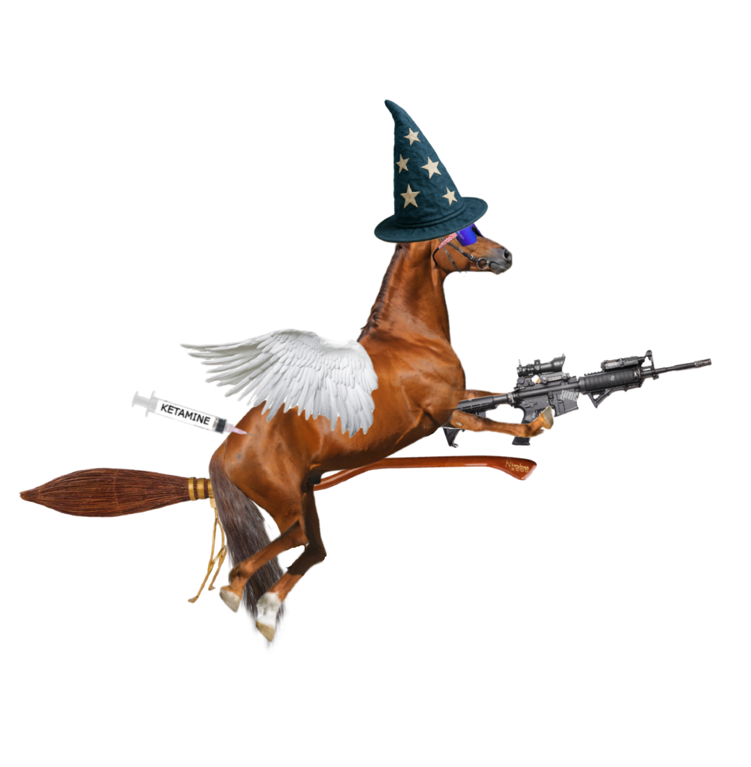 Horse_on_nimbus.png