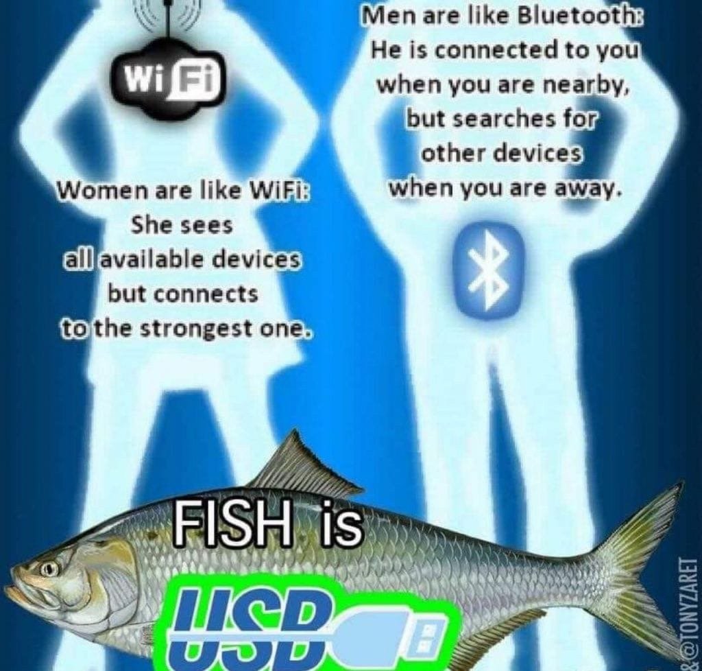 fish is usb.jpg
