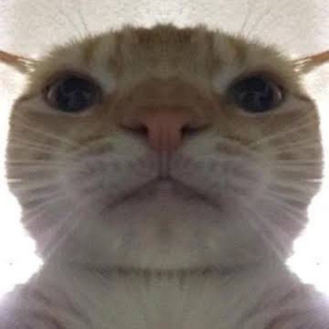Gusic