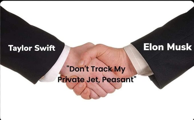 Elon Musk Google Memes (45).jpg