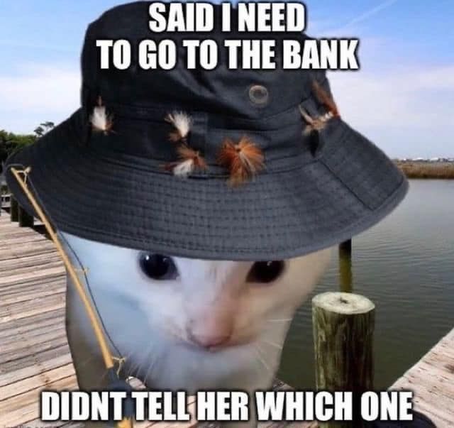 catfisher.jpg