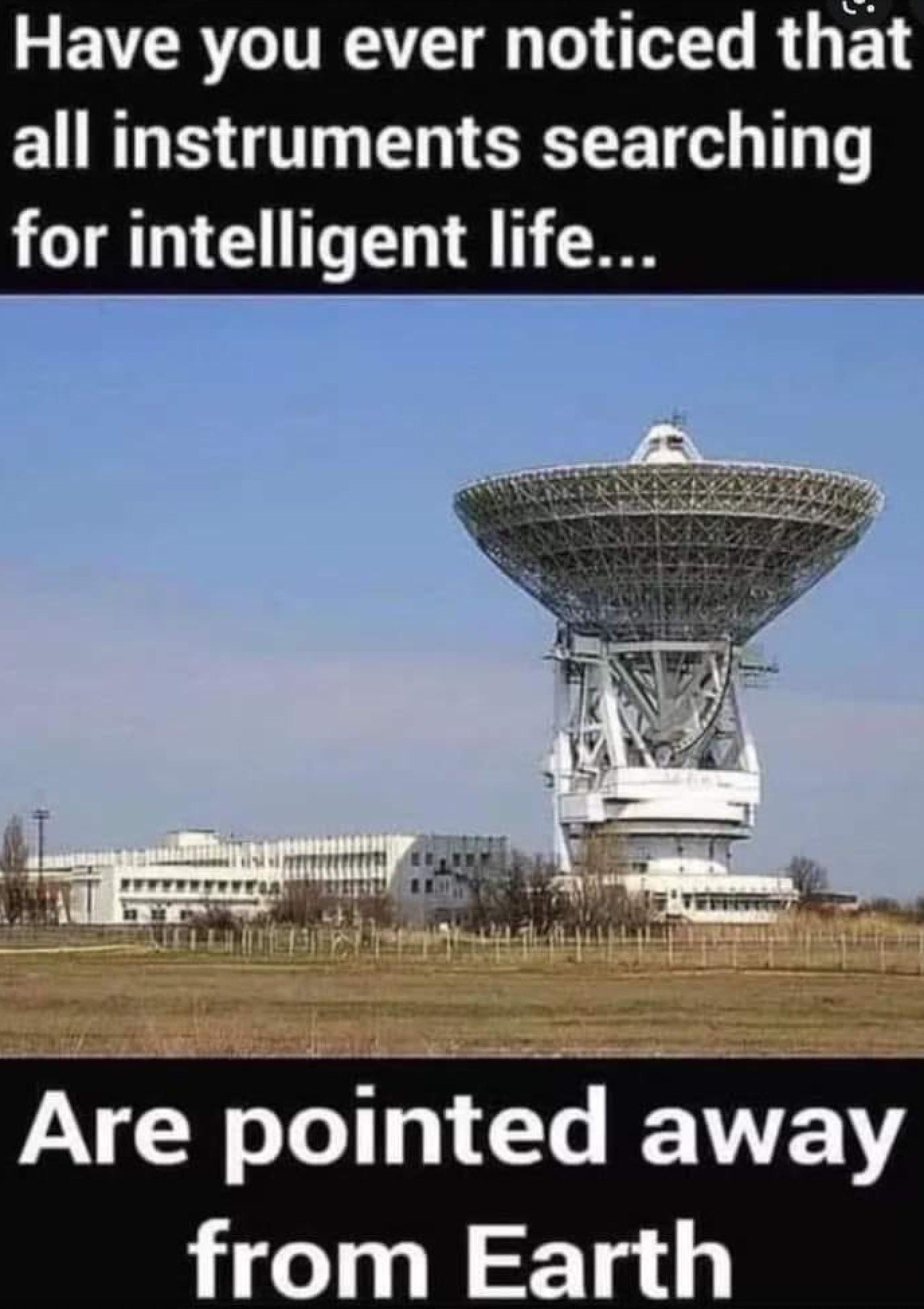 boomer's playground (1501).jpg