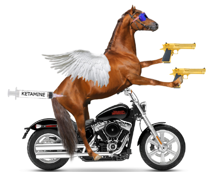 horse_harley_guns.png