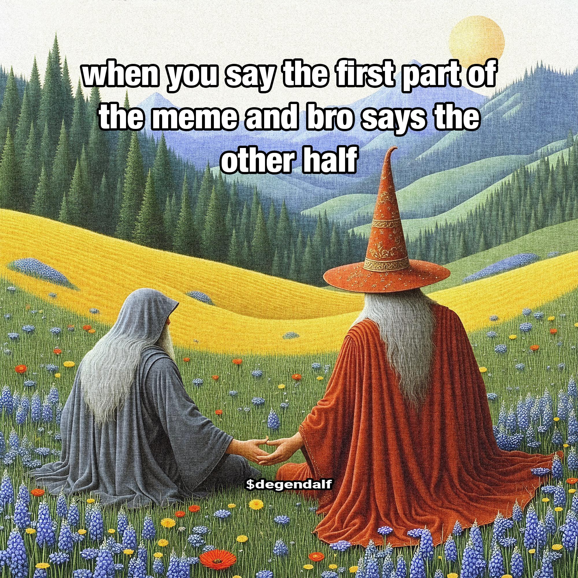 when you say the first part of the meme and bro says the other half 2.jpg