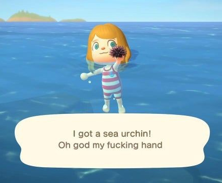 animal crossing.jpg