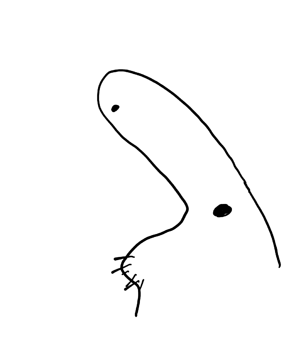 s59s91fds5f1sd95.png