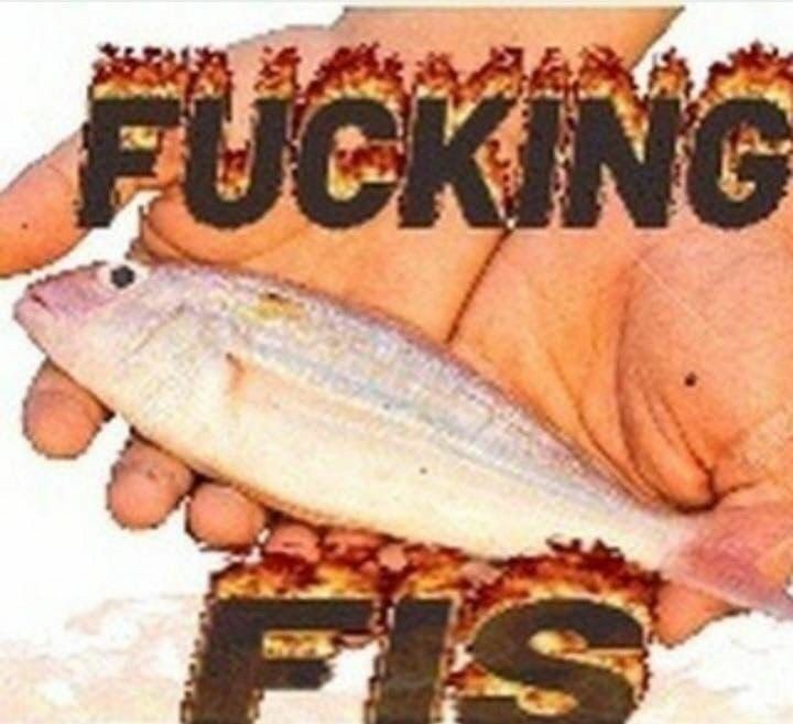 fcking fis.jpg