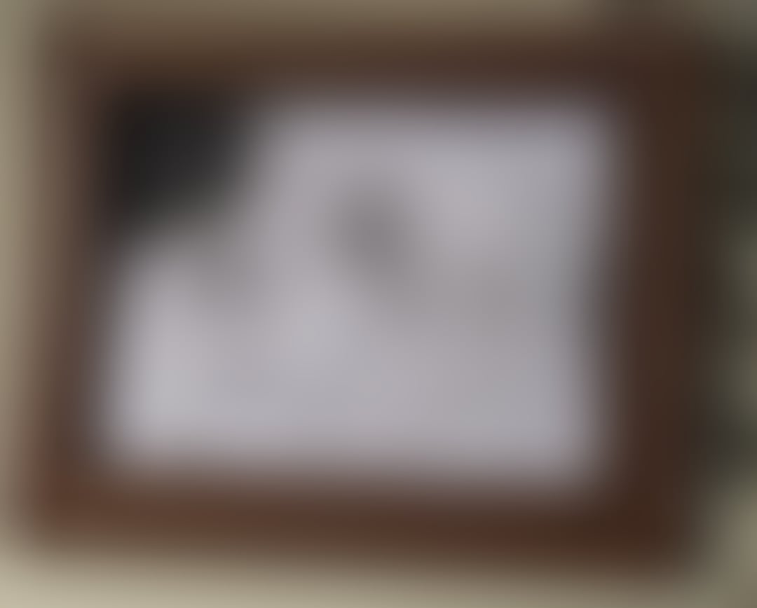 found-in-a-clients-home-v0-3iw8gp0lq6sf1.webp