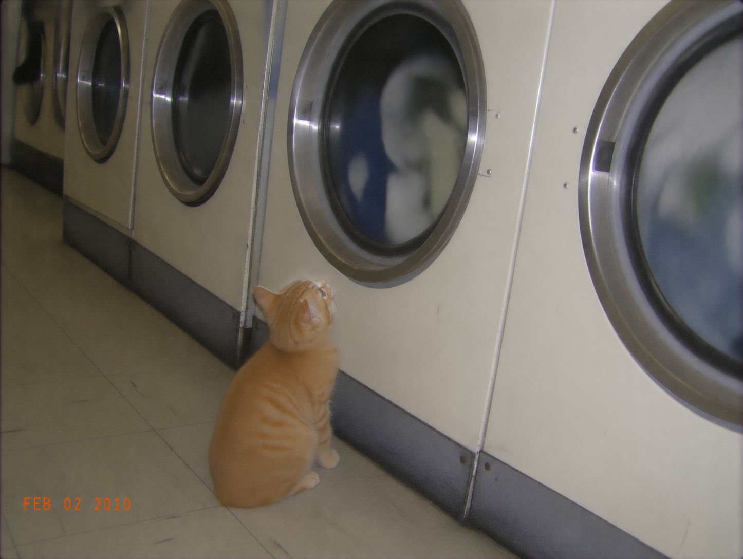 sirius-61-portfolio-wash.png