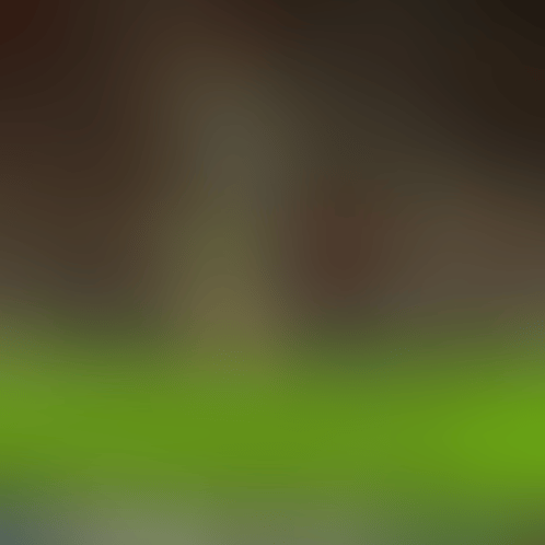 1000007065.gif