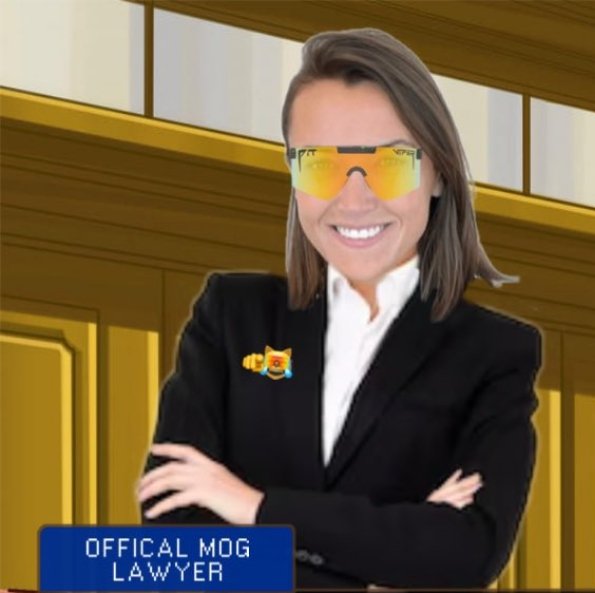 mog lawyer.jpg