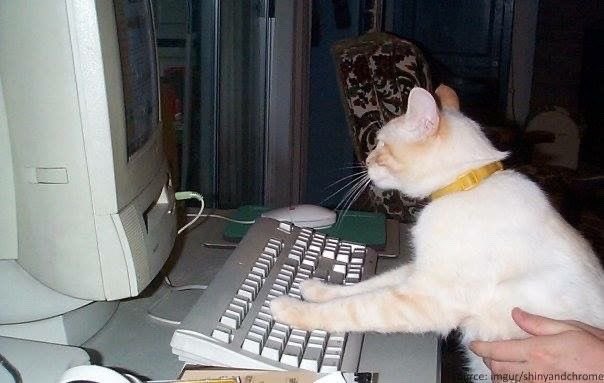 RT @OldInternetFeel: https://t.co/gZT8YxgrFN