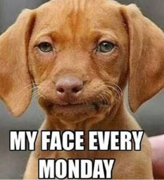 monday face.JPG