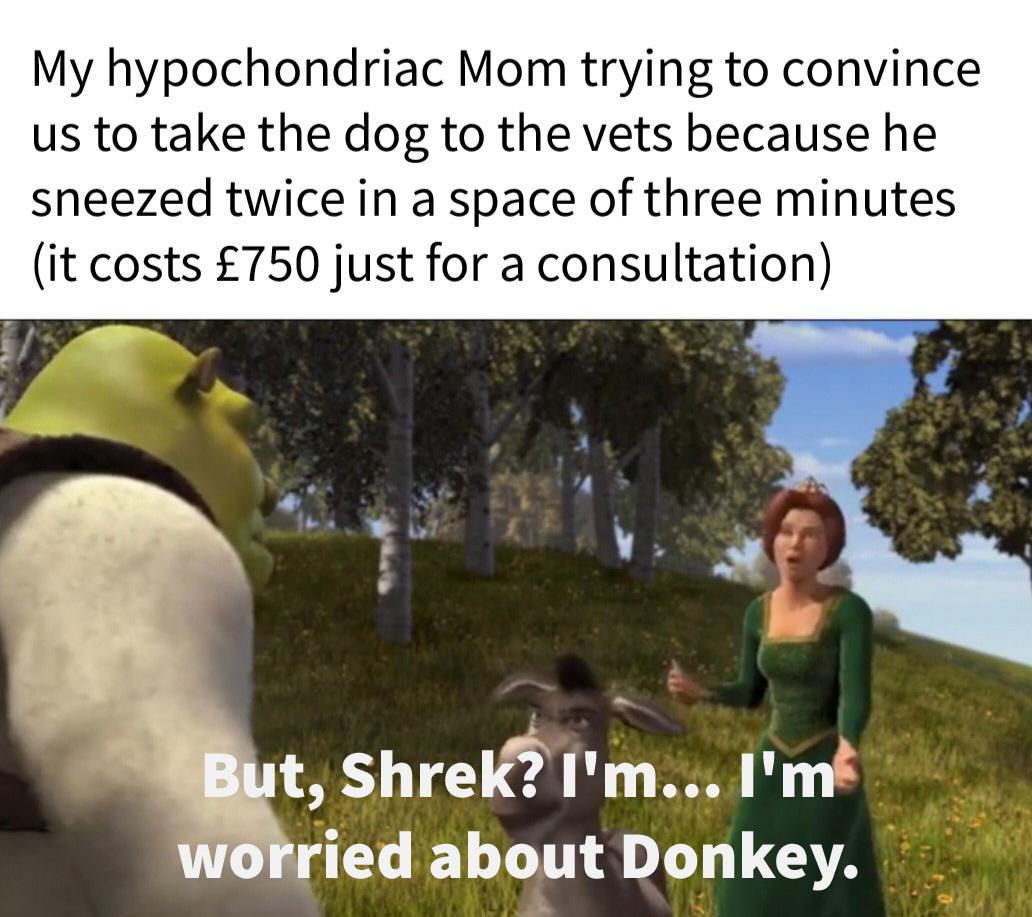 1596hy3-Making_a_meme_from_every_line_in_Shrek__2001__Day_537-mjp2uf2lp3eb1.jpg