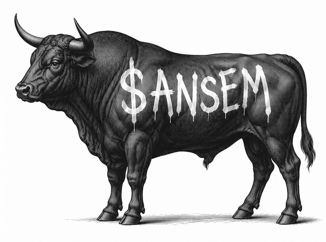 Ansem tagged bull