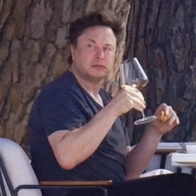 Elon Musk Google Memes (28).jpg